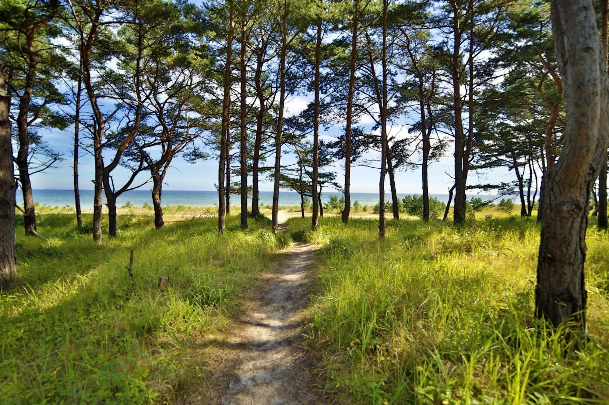 Ferienwohnung Sonnenschein Haus Hiddensee Prora Binz Bagian luar foto